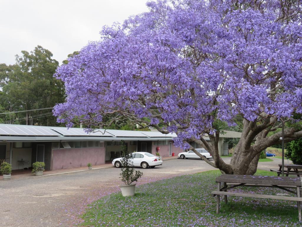 Ecotel Narooma North Narooma Экстерьер фото