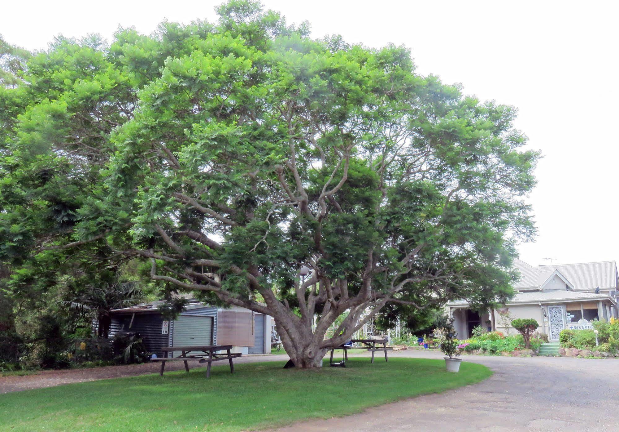 Ecotel Narooma North Narooma Экстерьер фото